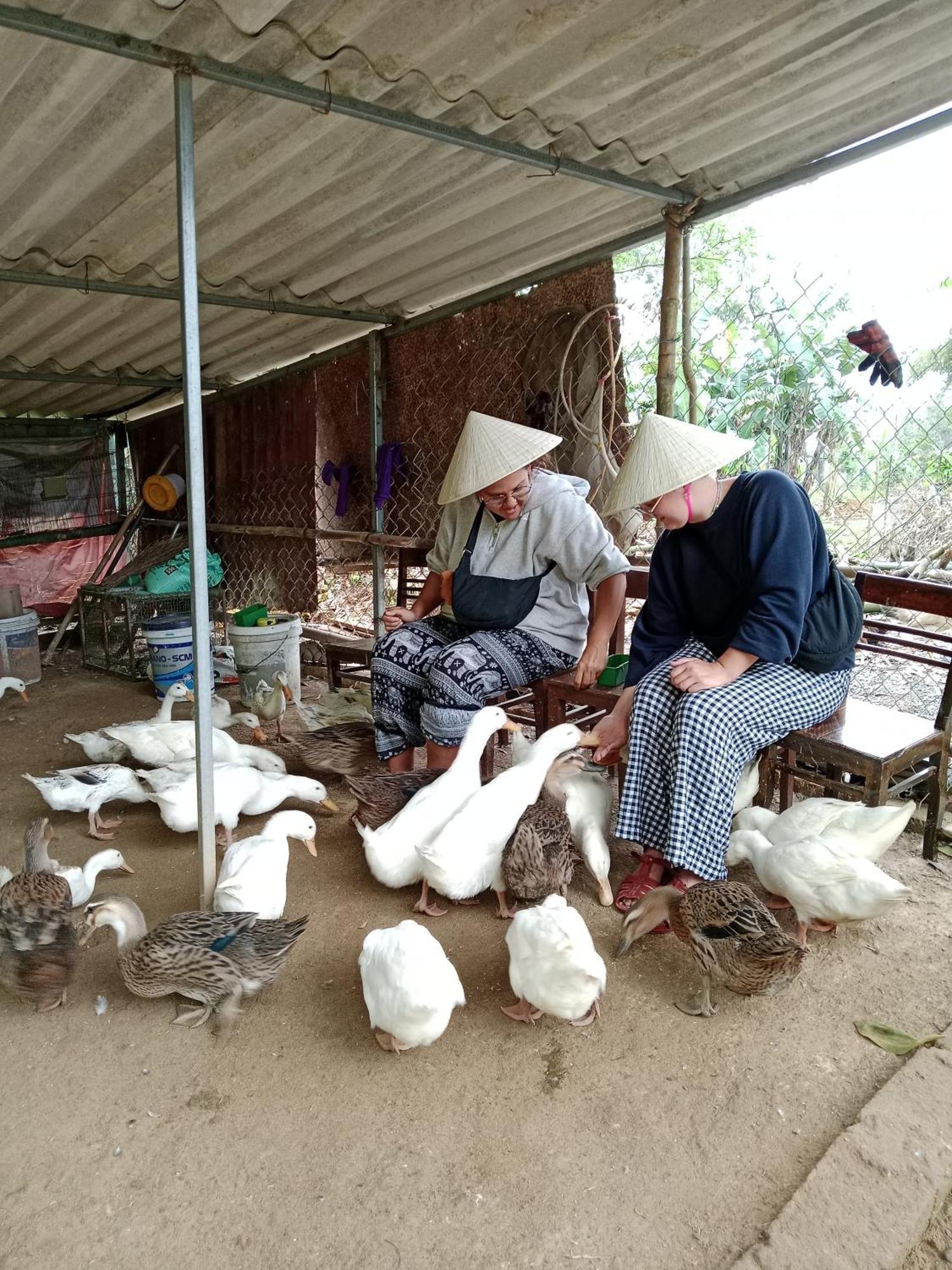 Magic Fingers And * Phong Nha